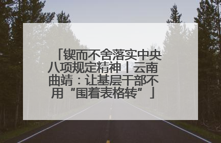 锲而不舍落实中央八项规定精神丨云南曲靖：让基层干部不用“围着表格转”
