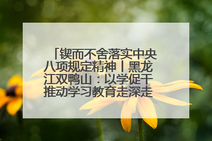 锲而不舍落实中央八项规定精神丨黑龙江双鸭山：以学促干推动学习教育走深走实 从小事入手写好“民生答卷”