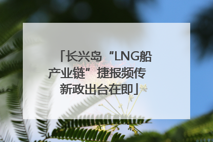 长兴岛“LNG船产业链”捷报频传 新政出台在即