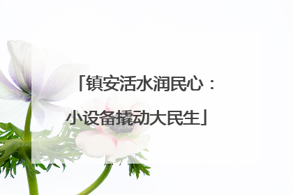 镇安活水润民心：小设备撬动大民生