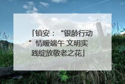 镇安：“银龄行动”情暖端午 文明实践绽放敬老之花