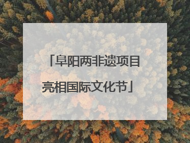 阜阳两非遗项目亮相国际文化节