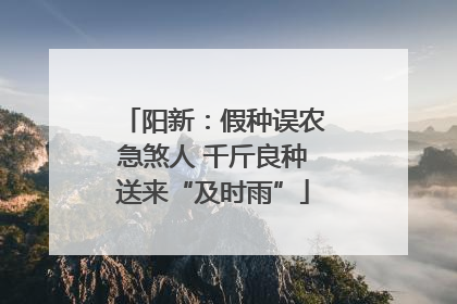 阳新：假种误农急煞人 千斤良种送来“及时雨”