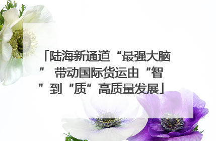 陆海新通道“最强大脑” 带动国际货运由“智”到“质”高质量发展
