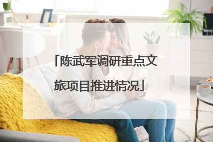 陈武军调研重点文旅项目推进情况