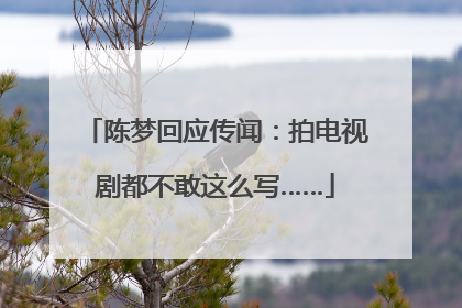 陈梦回应传闻：拍电视剧都不敢这么写……