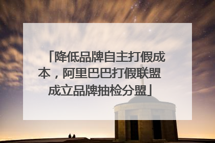 降低品牌自主打假成本，阿里巴巴打假联盟成立品牌抽检分盟
