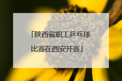 陕西省职工乒乓球比赛在西安开赛