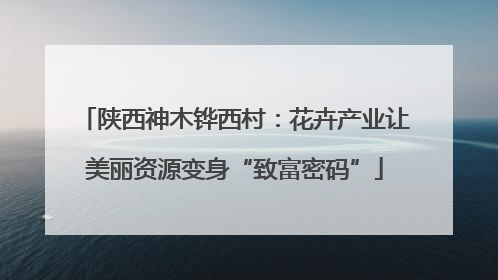 陕西神木铧西村：花卉产业让美丽资源变身“致富密码”