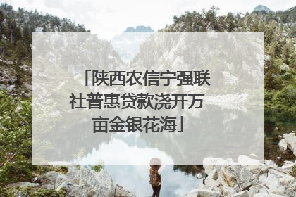 陕西农信宁强联社普惠贷款浇开万亩金银花海