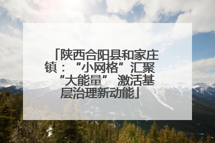 陕西合阳县和家庄镇：“小网格”汇聚“大能量” 激活基层治理新动能