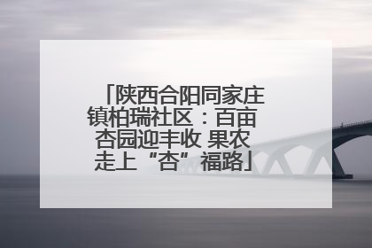 陕西合阳同家庄镇柏瑞社区：百亩杏园迎丰收 果农走上“杏”福路