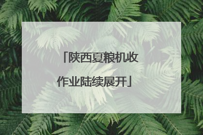 陕西夏粮机收作业陆续展开