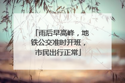 雨后早高峰，地铁公交准时开班，市民出行正常