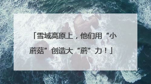 雪域高原上，他们用“小蘑菇”创造大“蘑”力！
