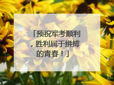 预祝军考顺利，胜利属于拼搏的青春！