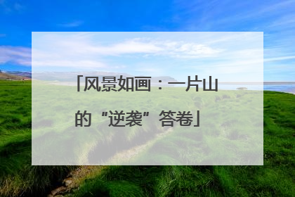 风景如画：一片山的“逆袭”答卷