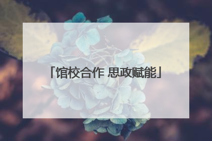 馆校合作 思政赋能
