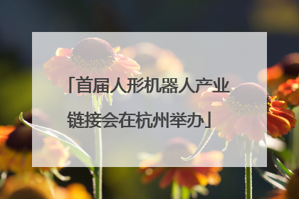 首届人形机器人产业链接会在杭州举办