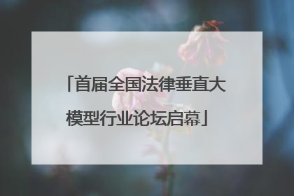 首届全国法律垂直大模型行业论坛启幕