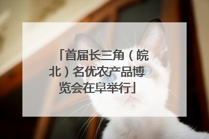 首届长三角（皖北）名优农产品博览会在阜举行