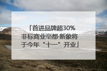 首进品牌超30% 非标商业亳都·新象将于今年“十一”开业