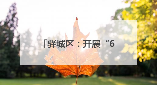 驿城区：开展“6.14信用记录关爱日”活动 共筑诚信社会新风尚