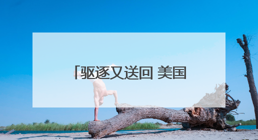 驱逐又送回 美国白宫与司法体系围绕移民争端升级