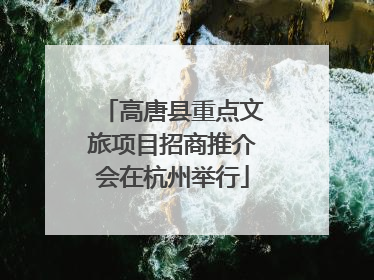 高唐县重点文旅项目招商推介会在杭州举行