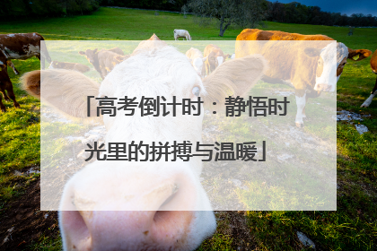 高考倒计时：静悟时光里的拼搏与温暖