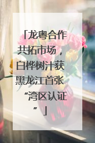 龙粤合作共拓市场，白桦树汁获黑龙江首张“湾区认证”