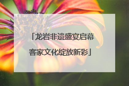 龙岩非遗盛宴启幕 客家文化绽放新彩
