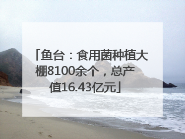鱼台：食用菌种植大棚8100余个，总产值16.43亿元