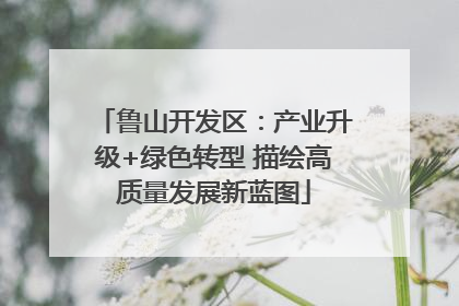 鲁山开发区：产业升级+绿色转型 描绘高质量发展新蓝图