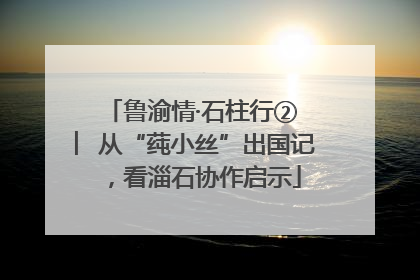 鲁渝情·石柱行② ︳从“莼小丝”出国记，看淄石协作启示