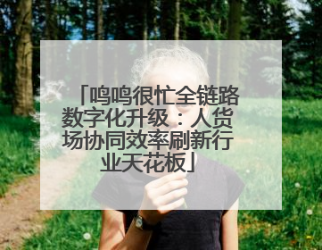 鸣鸣很忙全链路数字化升级：人货场协同效率刷新行业天花板