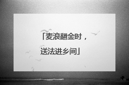 麦浪翻金时，送法进乡间