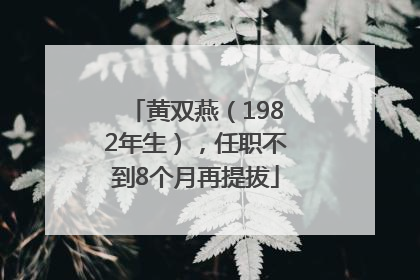 黄双燕（1982年生），任职不到8个月再提拔