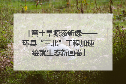 黄土旱塬添新绿——环县“三北”工程加速绘就生态新画卷