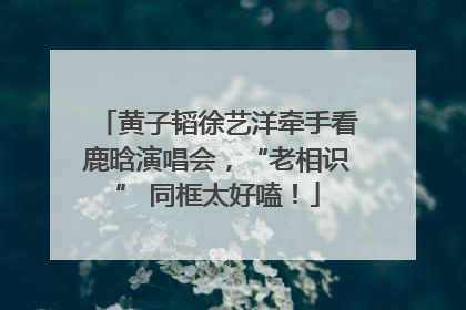 黄子韬徐艺洋牵手看鹿晗演唱会，“老相识” 同框太好嗑！