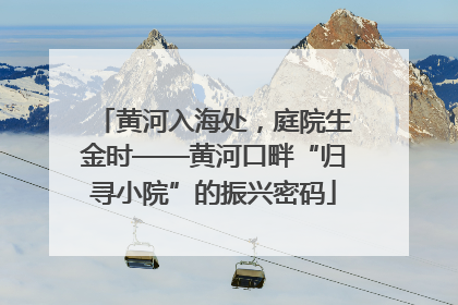 黄河入海处，庭院生金时——黄河口畔“归寻小院”的振兴密码