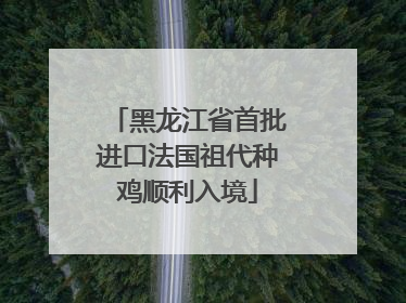 黑龙江省首批进口法国祖代种鸡顺利入境