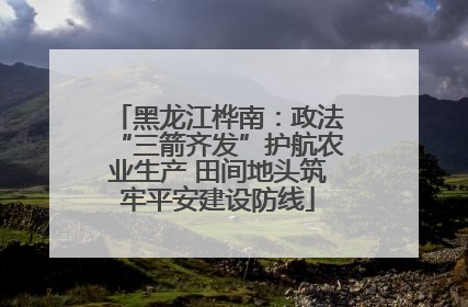 黑龙江桦南：政法“三箭齐发”护航农业生产 田间地头筑牢平安建设防线