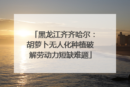 黑龙江齐齐哈尔：胡萝卜无人化种植破解劳动力短缺难题