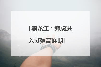 黑龙江：狮虎进入繁殖高峰期