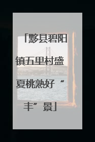 黟县碧阳镇五里村盛夏桃熟好“丰”景