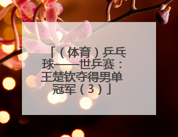 （体育）乒乓球——世乒赛：王楚钦夺得男单冠军（3）