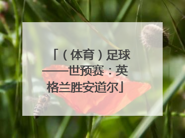 （体育）足球——世预赛：英格兰胜安道尔