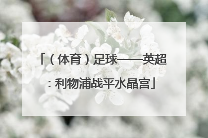 （体育）足球——英超：利物浦战平水晶宫