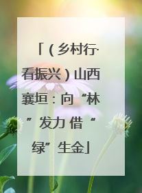（乡村行·看振兴）山西襄垣：向“林”发力 借“绿”生金